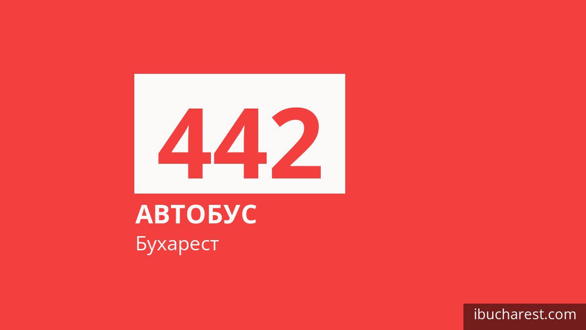 Автобус 442 в Бухаресте