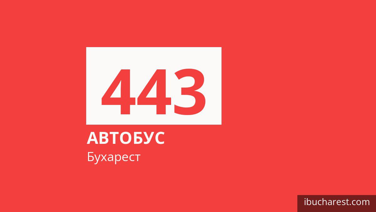 Автобус 443 в Бухаресте