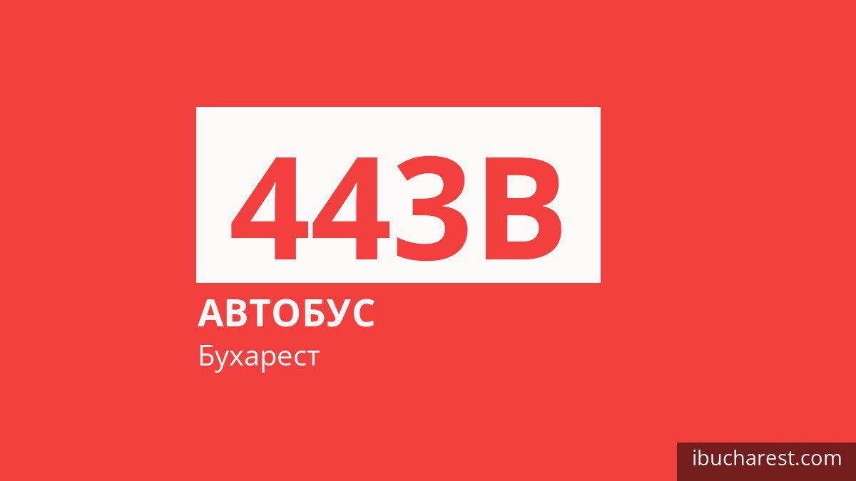 Автобус 443B в Бухаресте
